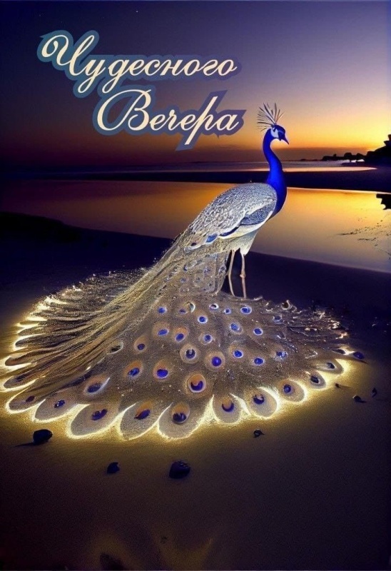 Красивые картинки "Добрый вечер" . Добрый вечер - красивые картинки с закатами