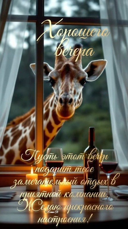 Красивые картинки "Добрый вечер" . Прикольные картинки Добрый вечер