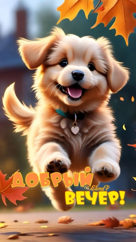 Красивые картинки "Добрый вечер" . Прикольные картинки Добрый вечер