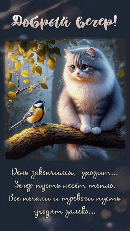 Красивые картинки "Добрый вечер" . Прикольные картинки Добрый вечер