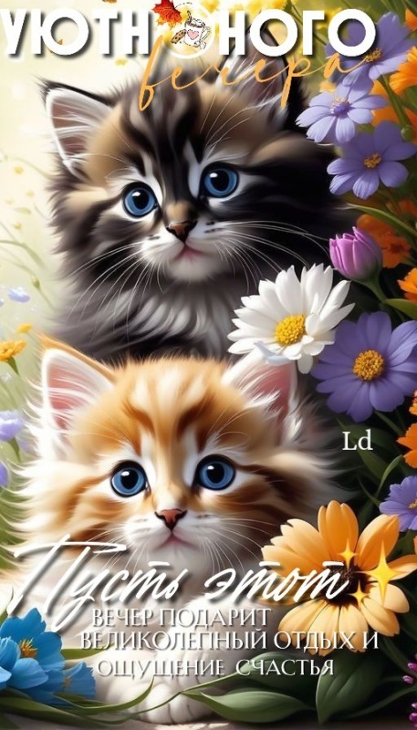 Красивые картинки "Добрый вечер" . Прикольные картинки Добрый вечер