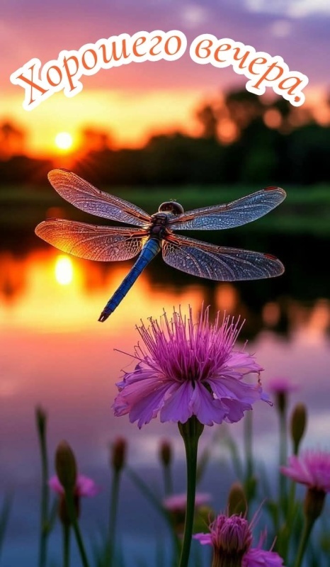 Красивые картинки "Добрый вечер" . Добрый вечер - красивые картинки с закатами