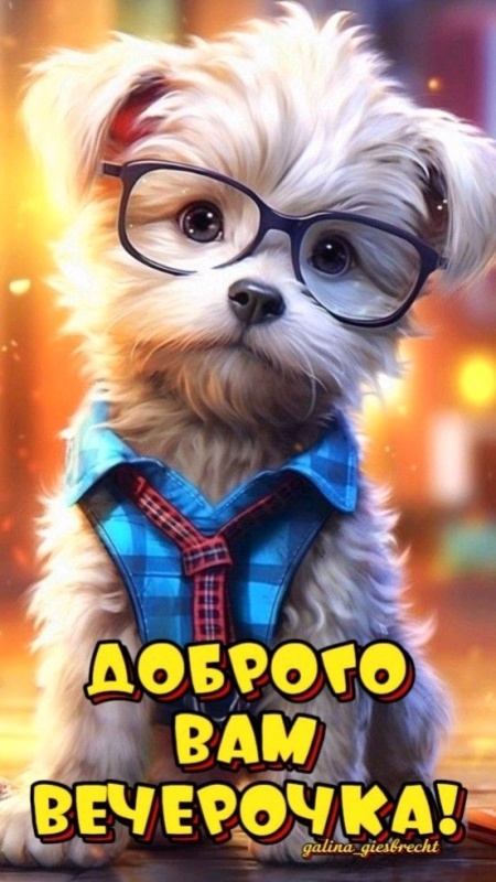 Красивые картинки "Добрый вечер" . Прикольные картинки Добрый вечер