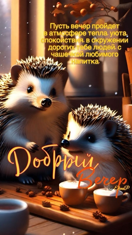 Красивые картинки "Добрый вечер" . Прикольные картинки Добрый вечер