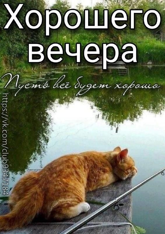 Красивые картинки "Добрый вечер" . Прикольные картинки Добрый вечер