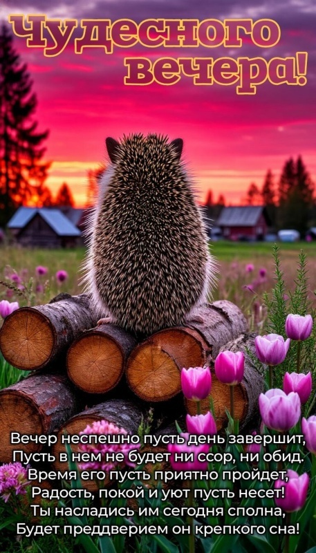 Красивые картинки "Добрый вечер" . Прикольные картинки Добрый вечер