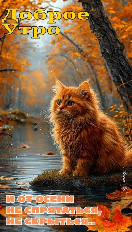 Осенние картинки Доброе утро. Красивые осенние картинки Доброе утро