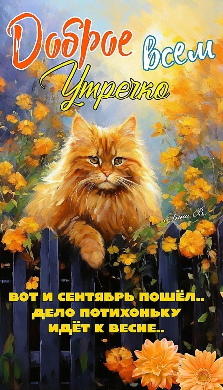 Осенние картинки Доброе утро. Картинки Доброе осеннее утро