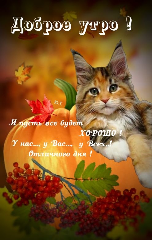 Осенние картинки Доброе утро. Картинки Доброе осеннее утро