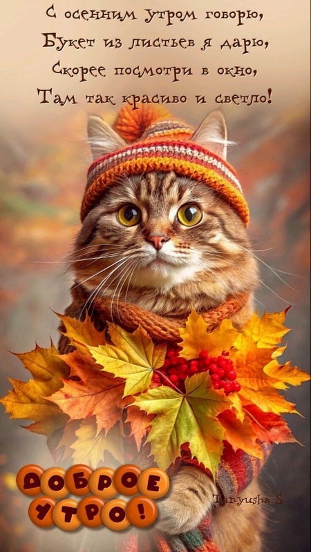 Осенние картинки Доброе утро. Картинки Доброе осеннее утро