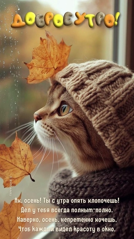 Осенние картинки Доброе утро. Позитивные осенние картинки Доброе утро