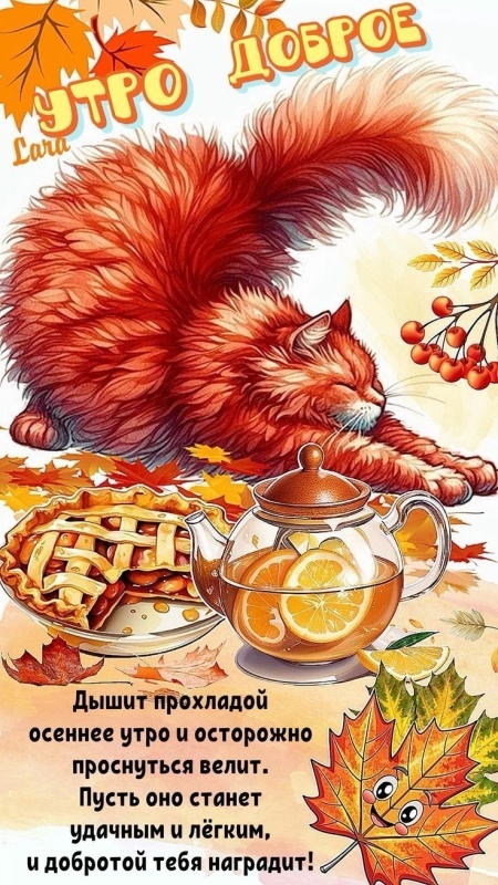 Осенние картинки Доброе утро. Позитивные осенние картинки Доброе утро
