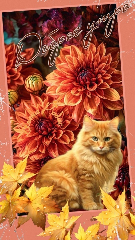 Осенние картинки Доброе утро. Картинки Доброе осеннее утро