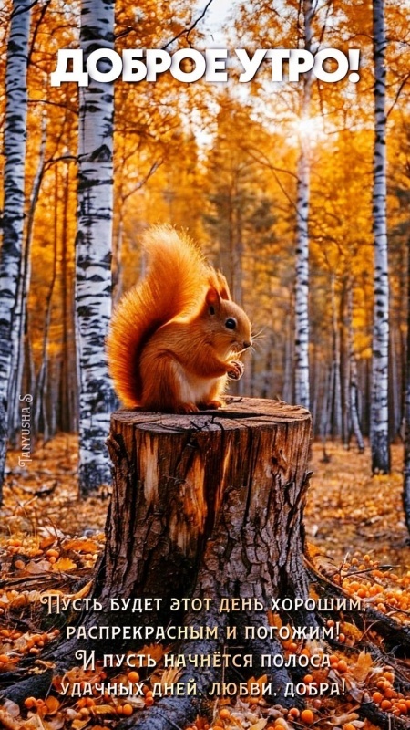 Осенние картинки Доброе утро. Картинки Доброе осеннее утро