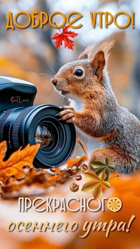 Осенние картинки Доброе утро. Позитивные осенние картинки Доброе утро