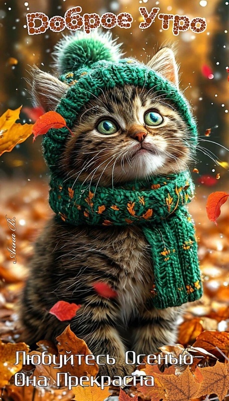 Осенние картинки Доброе утро. Позитивные осенние картинки Доброе утро