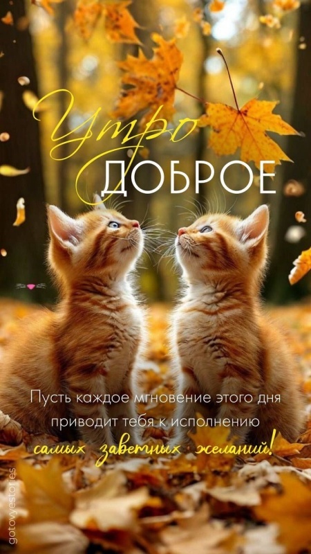 Осенние картинки Доброе утро. Картинки Доброе осеннее утро