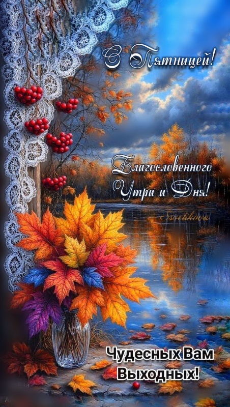 Картинки "Доброе утро пятницы" осенние. Красивые осенние картинки Доброе утро пятница