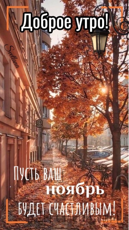 Красивые картинки Доброе утро ноября. Позитивные картинки Доброе утро ноября