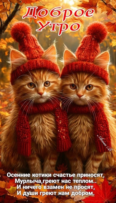 Осенние картинки Доброе утро. Красивые осенние картинки Доброе утро