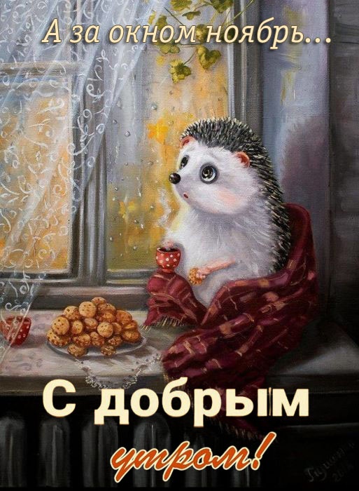 Красивые картинки Доброе утро ноября. Позитивные картинки Доброе утро ноября