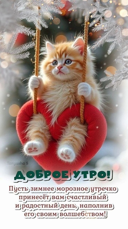 Картинки Доброе утро позитивные и новые. Позитивные картинки Доброе утро (зима)