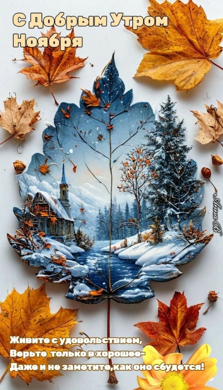 Красивые картинки Доброе утро ноября. Красивые картинки Доброе утро ноября