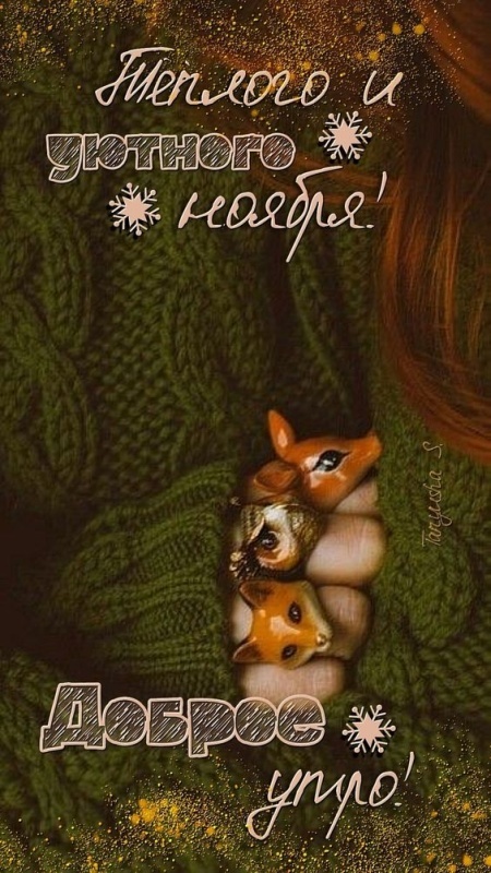 Красивые картинки Доброе утро ноября. Позитивные картинки Доброе утро ноября