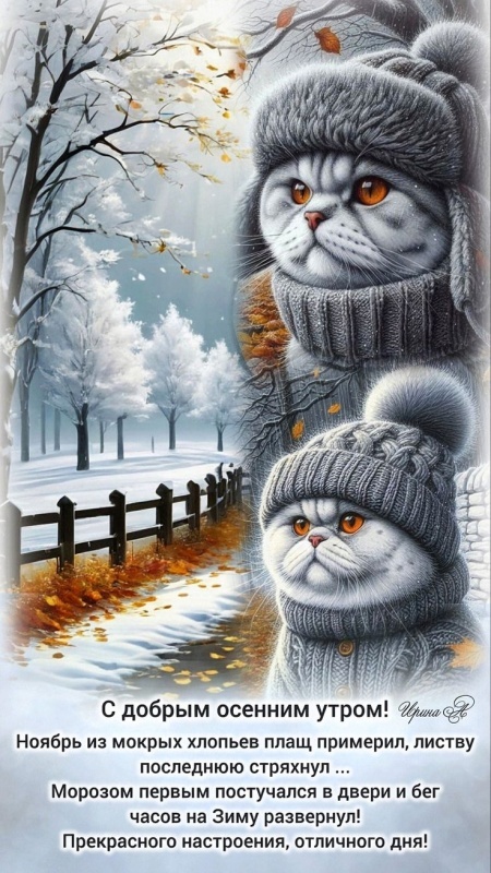 Красивые картинки Доброе утро ноября. Позитивные картинки Доброе утро ноября