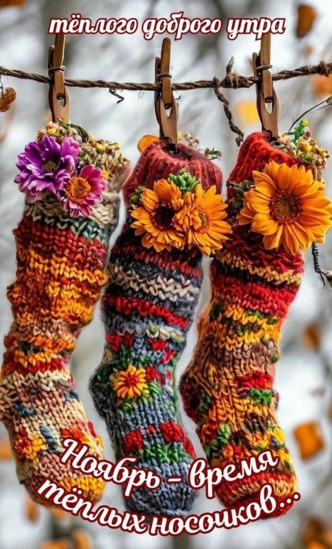 Красивые картинки Доброе утро ноября. Позитивные картинки Доброе утро ноября