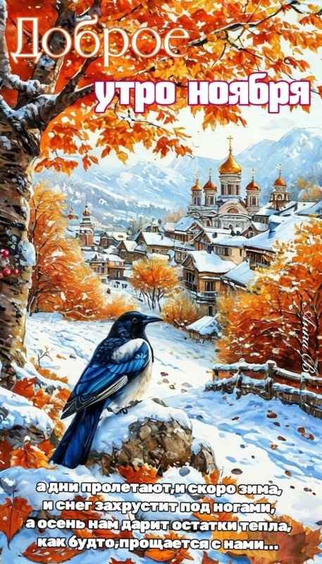 Красивые картинки Доброе утро ноября. Красивые картинки Доброе утро ноября