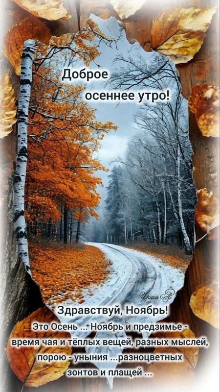 Красивые картинки Доброе утро ноября. Доброе утро ноября - картинки осенние