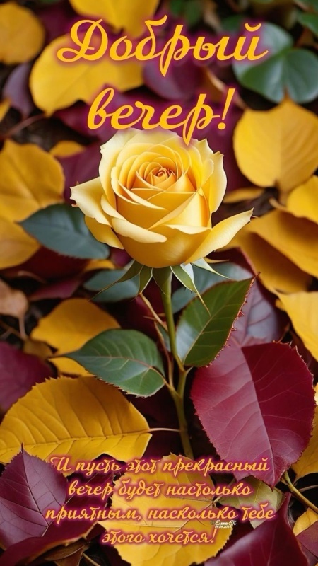 Красивые картинки "Добрый вечер" . Осенние картинки Добрый вечер