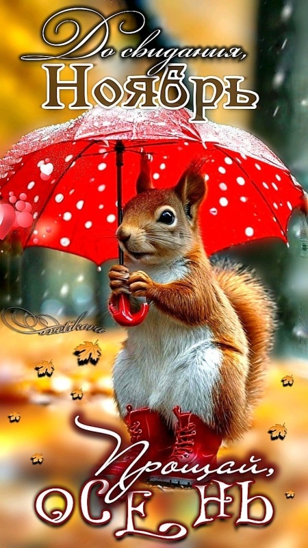 Красивые картинки Доброе утро ноября. Позитивные картинки Доброе утро ноября