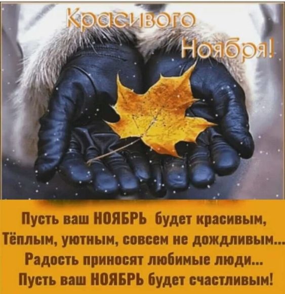 Красивые картинки Доброе утро ноября. Доброе утро ноября - картинки осенние