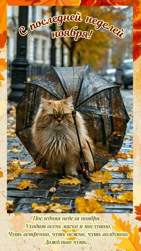 Красивые картинки Доброе утро ноября. Позитивные картинки Доброе утро ноября