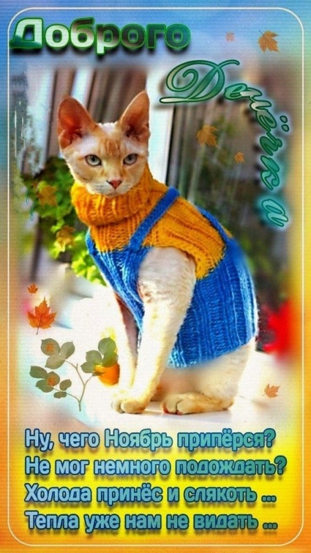 Красивые картинки Доброе утро ноября. Позитивные картинки Доброе утро ноября