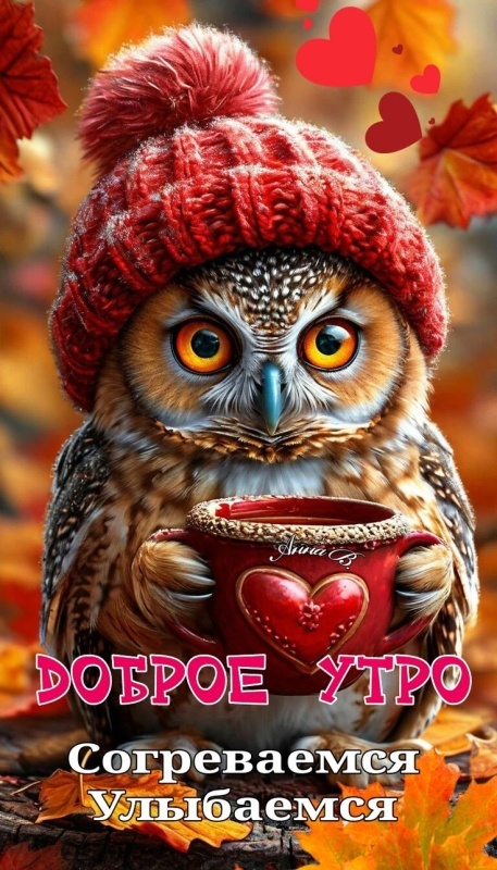 Красивые картинки Доброе утро ноября. Позитивные картинки Доброе утро ноября