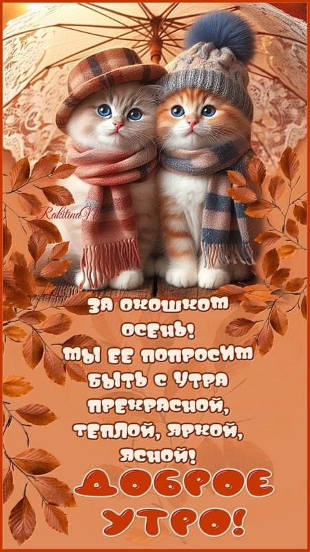 Картинки Доброе утро позитивные и новые. Картинки Доброе утро с позитивными пожеланиями