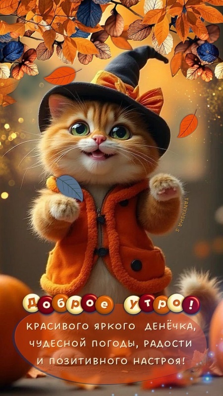 Красивые картинки "Добрый вечер" . Осенние картинки Добрый вечер