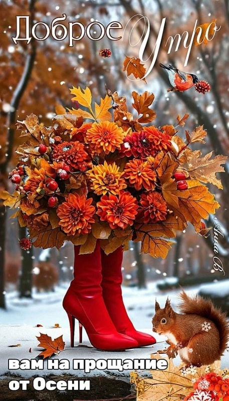 Красивые картинки Доброе утро ноября. Красивые картинки Доброе утро ноября