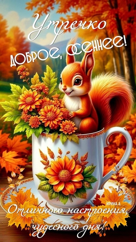 Картинки Доброе утро позитивные и новые. Позитивные и новые картинки с Добрым утром (осень)