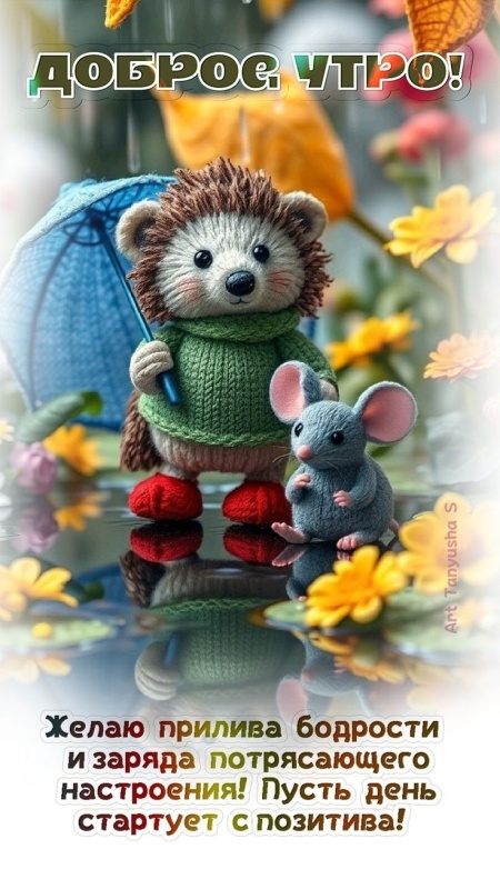 Картинки Доброе утро позитивные и новые. Картинки Доброе утро с позитивными пожеланиями