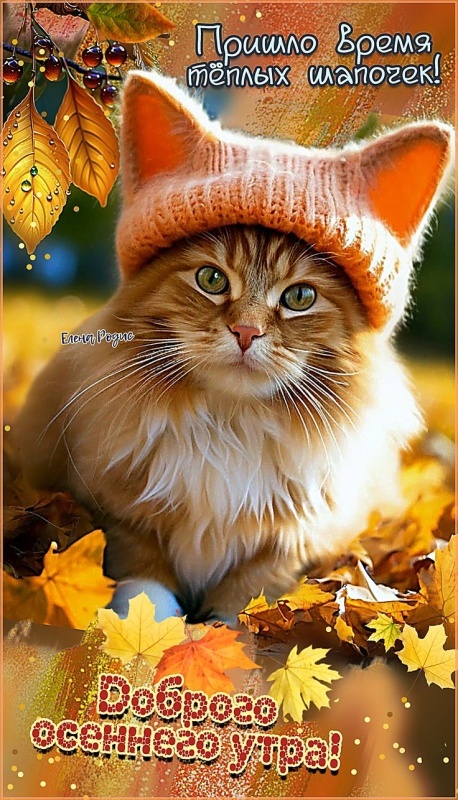 Красивые картинки Доброе утро ноября. Позитивные картинки Доброе утро ноября