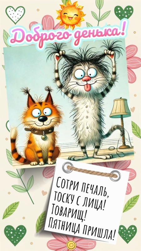 Картинки Доброе утро позитивные и новые. Картинки Доброе утро с позитивными пожеланиями