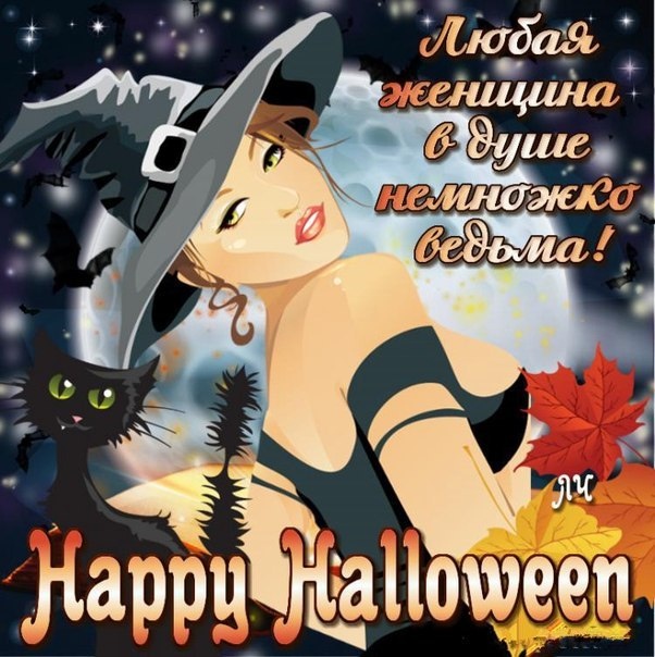 Картинки Хэллоуин (красивые, прикольные и страшные). Хэллоуин - прикольные картинки