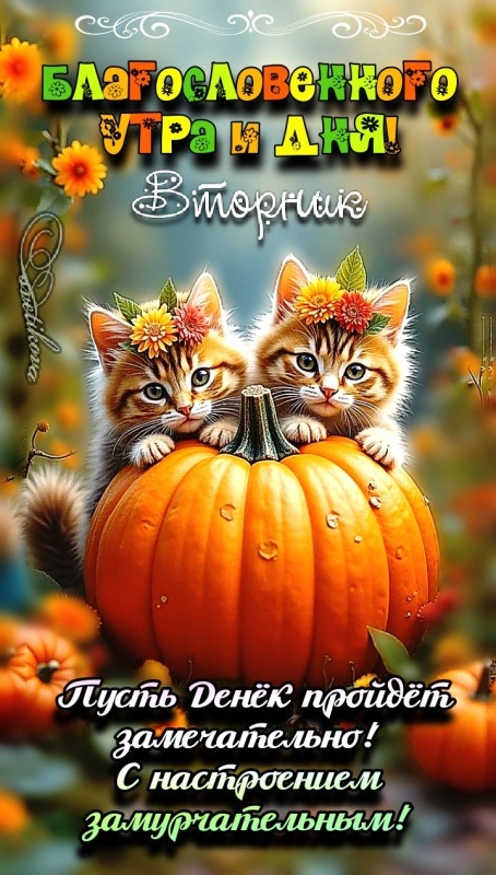 Картинки Доброе утро позитивные и новые. Позитивные и новые картинки с Добрым утром (осень)