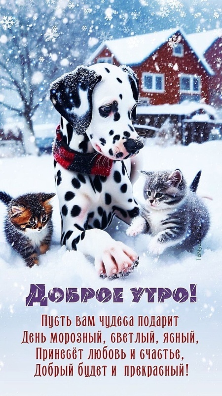 Картинки Доброе утро позитивные и новые. Позитивные картинки Доброе утро (зима)
