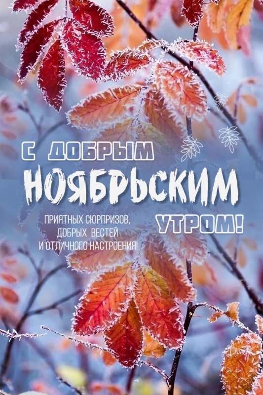 Красивые картинки Доброе утро ноября. Красивые картинки Доброе утро ноября