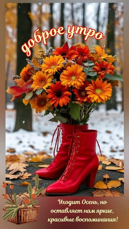 Красивые картинки Доброе утро ноября. Позитивные картинки Доброе утро ноября
